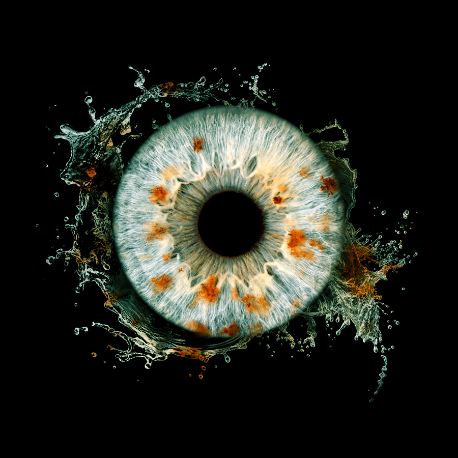 Iris Fine Art Prints in der Studioauslage