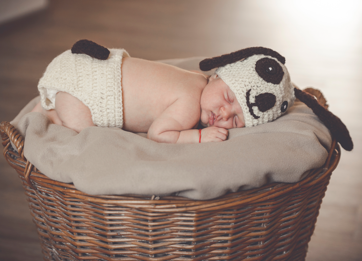 Newborn-Shooting
